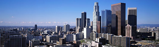 dowtownla.jpg (31946 bytes)